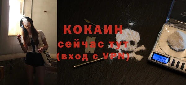 дживик Балахна