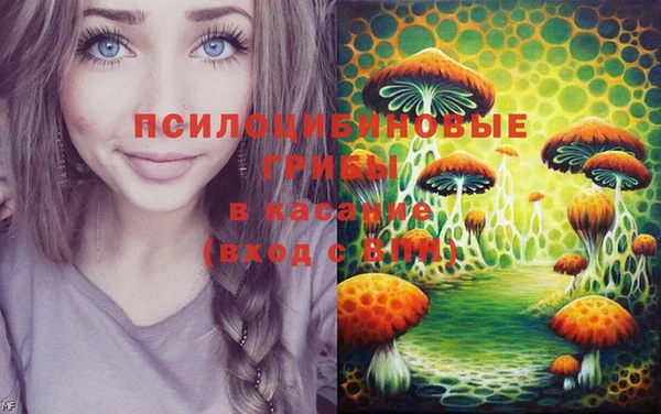 экстази Баксан